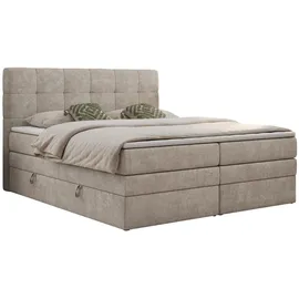 MKS Meble Boxspringbett mit Bettkasten ¦ beige ¦ Maße (cm): B: 200 H: 110