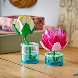 LEGO Botanicals Seerosen 11511