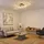 GLOBO LED Deckenleuchte 1-flg. 80 x 60 x 10 cm gold schwarz