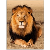 Artland Glasbild »Löwe«, Wildtiere, (1 St.), braun