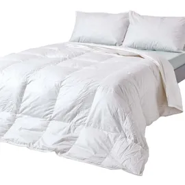 Homescapes Leichte Sommer-bettdecke Wärmeklasse 2, Entenfeder- und Daunendecke, 260 x 220 cm,