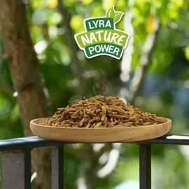 Lyra Pet 5 kg Lyra Pet® Mehlwürmer-/Soldatenfliegenlarven-Mix in 30 L Tonne