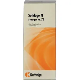 Kattwiga Arzneimittel GmbH Synergon 78 Solidago N Tropfen