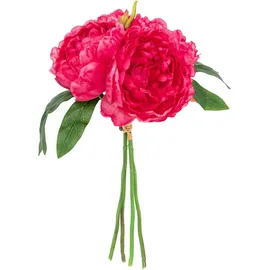 Atmosphera Créateur d'intérieur Pfingstrosen in rosa | Gr.: onesize