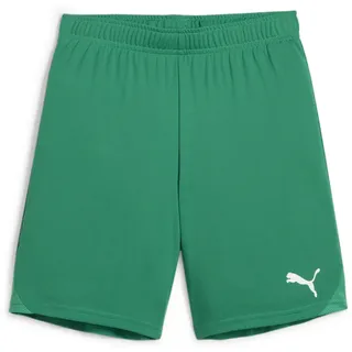 Puma teamGOAL Shorts Jr (705753)