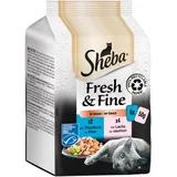 Sheba Fresh & Fine in Sauce - Hochwertiges Katzen Nassfutter Lachs und Thunfisch (MSC) - Für die tägliche Abwechslung im extra kleinen Portionsbeutel - 36 x 50g