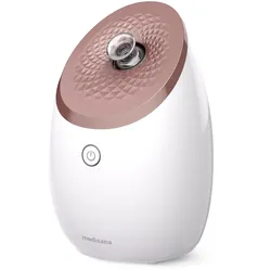 DS 600 | Nano-Ionen Gesichtssauna