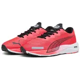 Herren fire orchid/puma black 42,5