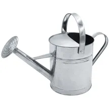 Spetebo Zink Gießkanne 5 L