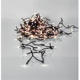 EGLO LED Lichterkette 26 m Schwarz warmweiß