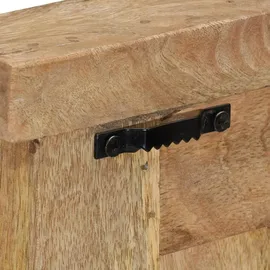 vidaXL Garderobenständer 2 Stk. Massivholz Mango braun