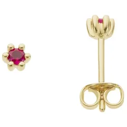 Firetti Paar Ohrstecker »Schmuck Geschenk Gold 333 Ohrschmuck Farbstein Edelstein Rubin«, mit Rubin Firetti gelbgoldfarben-rot + rot