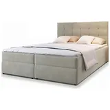 masseno GLOS 140 x 200 cm H2 Beige