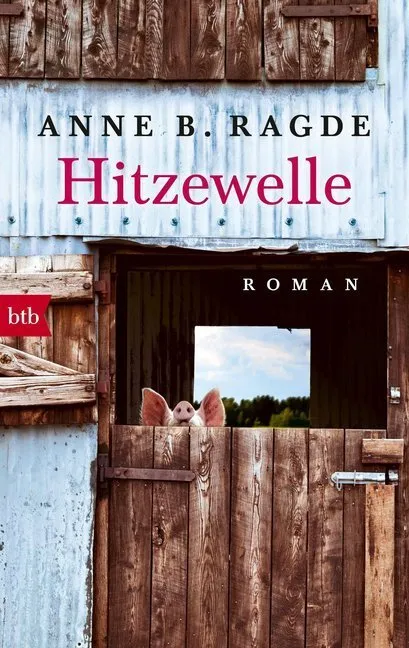 Hitzewelle / Die Lügenhaus-Serie Bd.3 - Anne B. Ragde  Taschenbuch