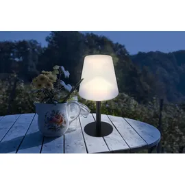 GLOBO Solarleuchte Metall Ø15 cm 8x RGBW LED inkl. IP44 schwarz matt