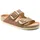 schmal cognac 43