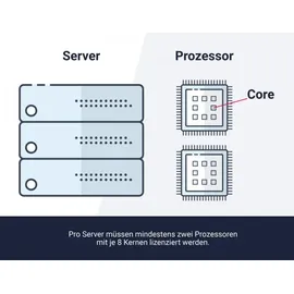 Fujitsu Microsoft Windows Server 2022 Standard 2 Core ROK Add-On ML