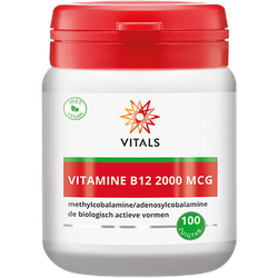 Vitamin B12 2000 mcg (Methyl-/Adenosylcobalamin)