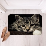 Loussiesd Katze Badezimmerteppich Haustier Katzen rutschfest Badteppiche Niedlich Kitten Drucken Saugfähige Badematte 40x60cm für Badezimmerwanne Ultra weich Maschine Waschbar 3D Tiermotiv