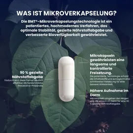 Biostile Resveratrol Kapseln 60 St.