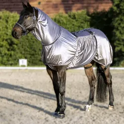 HKM Ekzemer Decke Security, 135