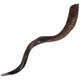 Yemenit Kudu Horn Schofar 71,1-78,7 cm, Koscher hergestellt in Israel.