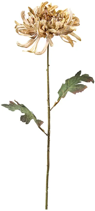 Mum 73cm braun