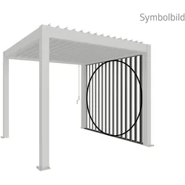 Biohort Lamellenwand 1 Stück 2,46 x 2,35 x 0,10 m Quarzgrau-Metallic
