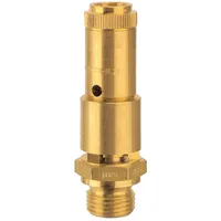 Riegler Sicherheitsventil DN 10, Messing, G 3/4, Ansprechdruck 8