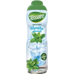 Teisseire Sirup Eis-Minze 600ml