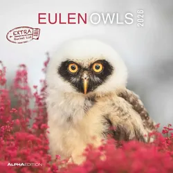 Eulen - Kalender 2026