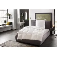 billerbeck Eliana 90, Mono