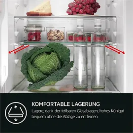 AEG TSF5O88WDF Einbaukühlschrank (118 l, 873 mm hoch)