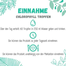 sinoplasan gmbh Chlorophyll Tropfen 50 ml