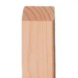 Zaunlatte Douglasie Luzern 3 x 5 x 100 cm – Zaunlatte aus Douglasie, naturbelassen – abgeschrägte Zaunbretter – Holzlatte für Zäune