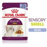 Royal Canin Sparpaket: Royal Canin Sensory Smell in Gelee Katzenfutter nass