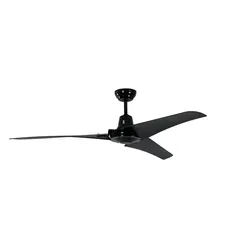 Pepeo Industrie Deckenventilator Vourdries Schwarz 142