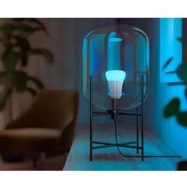 Philips Hue White and Color Ambiance 800 LED-Bulb E27 6.5W, 2er-Pack (929002489602)