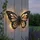 ABC home Wanddeko Schmetterling Kunststoff, Metall 42 cm B inkl. LEDs, Solarpanel, Lichtsensor grün