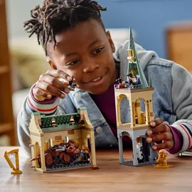 LEGO Harry Potter Hogwarts: Begegnung mit Fluffy 76387