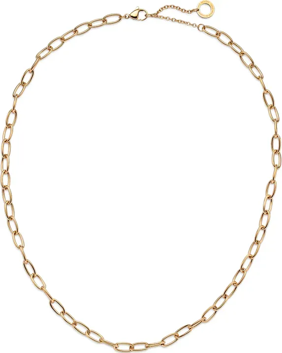 PAUL HEWITT - CHARM HALSKETTE - ANCHOR LINK - gold