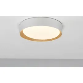 Nova Luce Stake 1 LED Deckenleuchte Ø 35 cm weiß