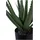 tinkaro Aloe, Grün, Kunststoff, 51 cm, Dekoration, Blumen & Zubehör, Kunstpflanzen