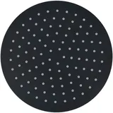 vidaXL Regenbrause Edelstahl 25 Cm Rund Schwarz Vidaxl