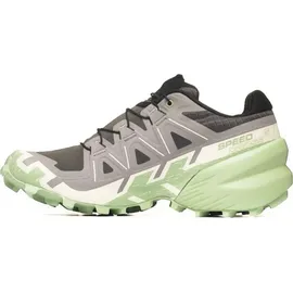 Salomon Speedcross 6 Damen Castle Rock/Vanilla Ice/Smoke Green 41 1/3
