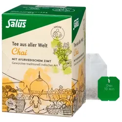 Salus Chai Kräutertee-Spezialität bio (15Btl)