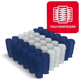 Fdm Matratze 80x200 cm Taschenfederkern NOIR 7 Zonen H3 H4 23 cm hr Schaum aloevera Bezug