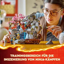 LEGO Ninjago Drachenstein-Tempel