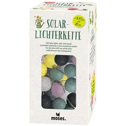 Moses Blatt & Blüte Solarlichterkette