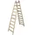 Krause Stabilo Professional 2 x 10 Sprossen (170125)